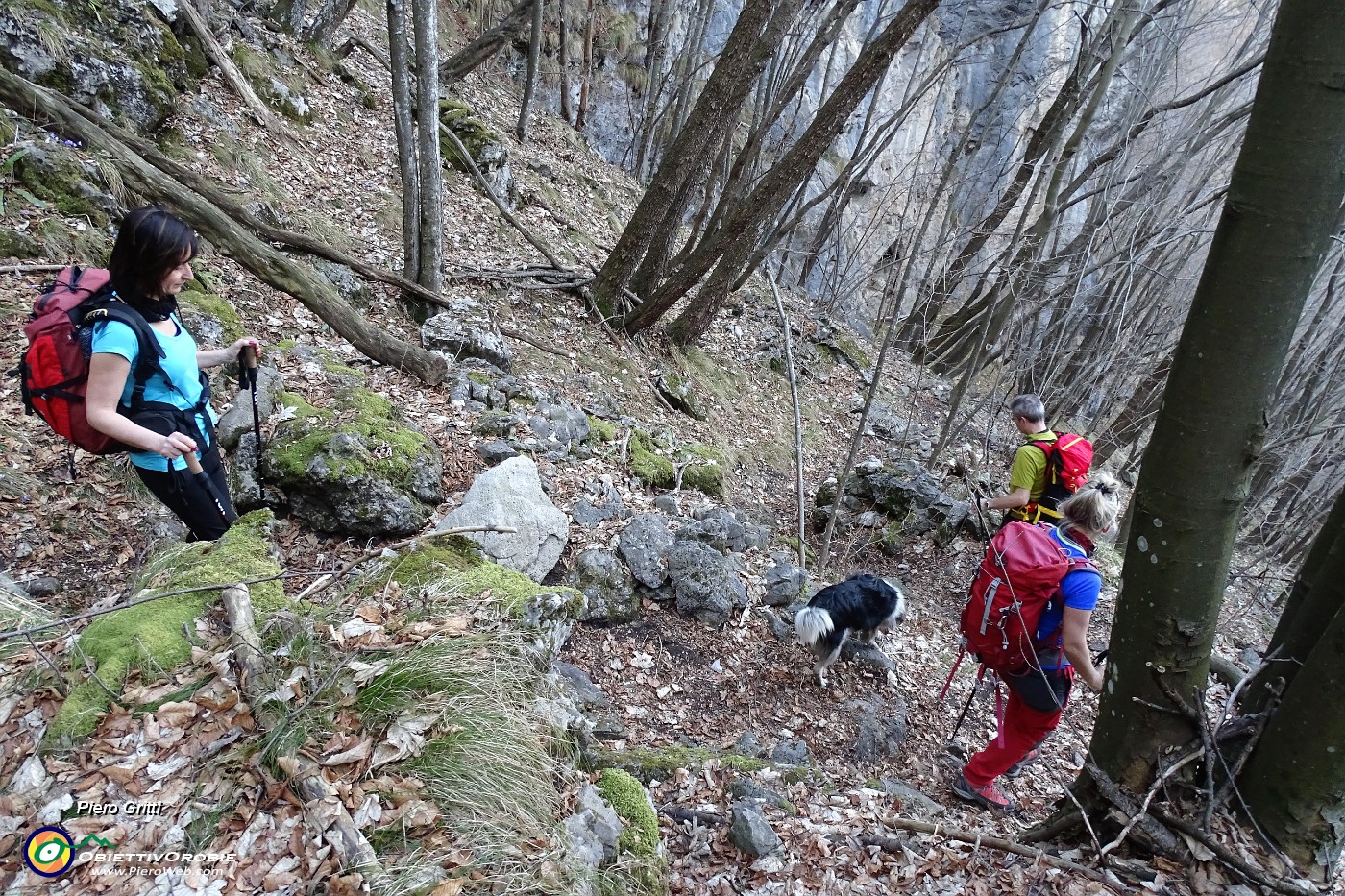 92 Lunga discesa nel bosco delal Valle delle Foppe.JPG